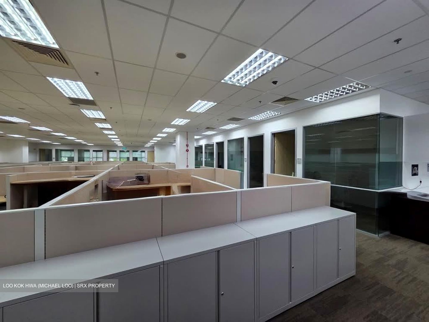 Techview (D14), Factory #589655281